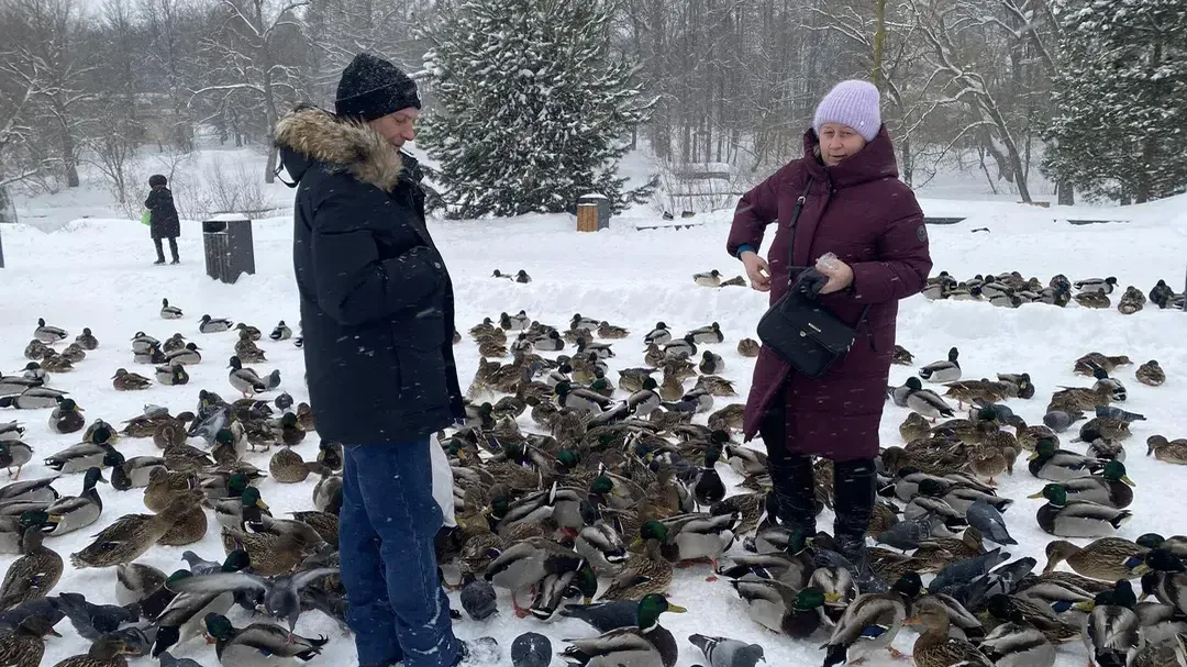 Анна Артюшина