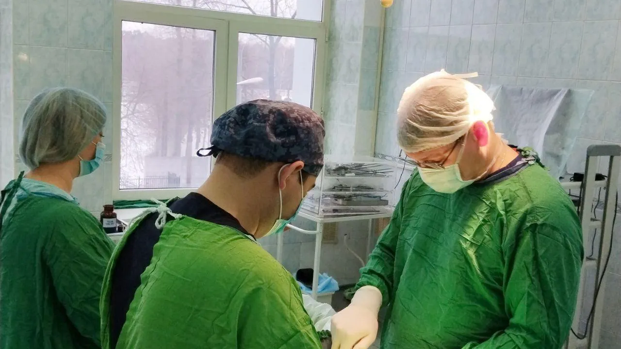 Фото: Министерство здравоохранения Московской области