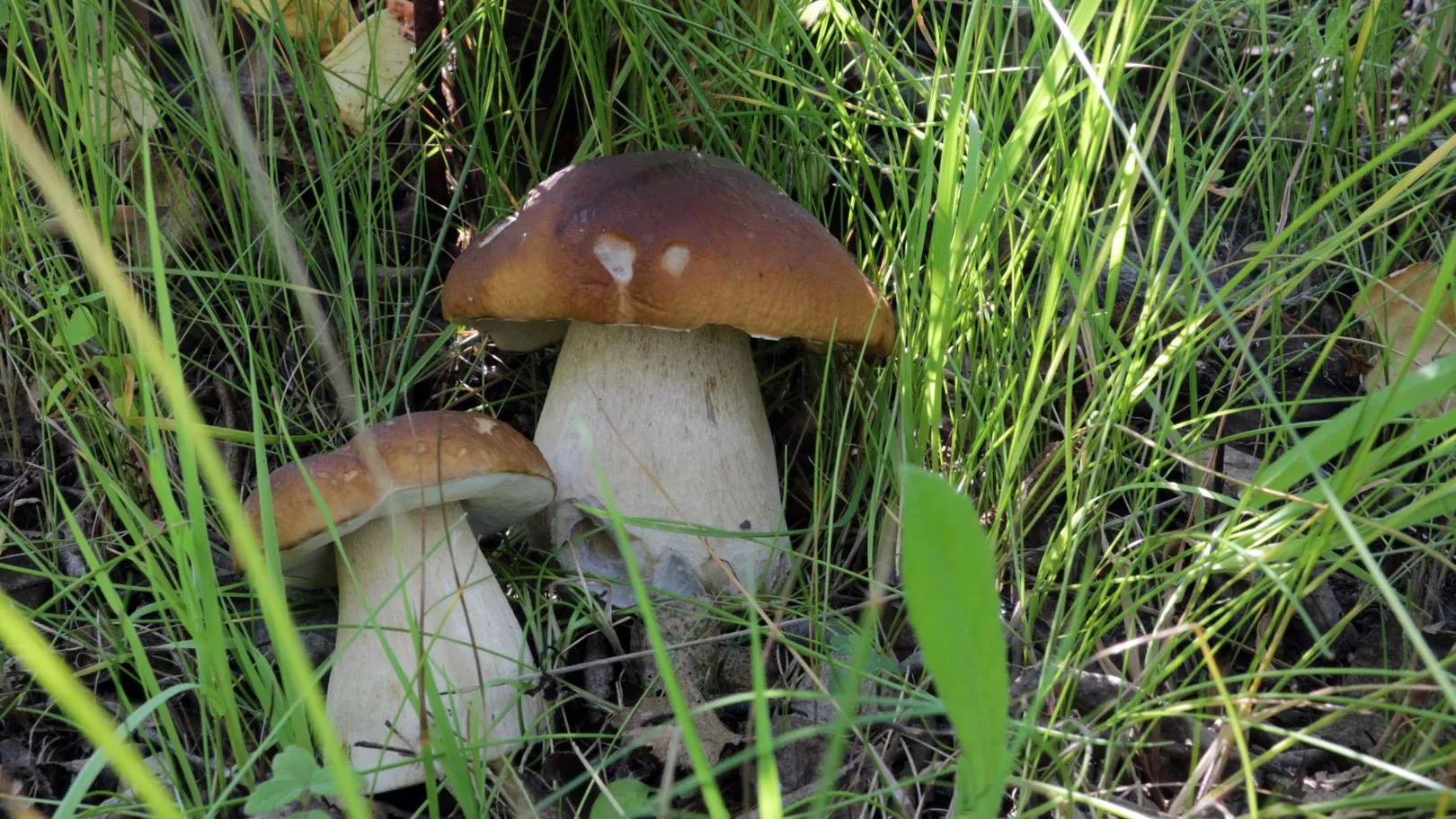 Фото: медиасток.рф