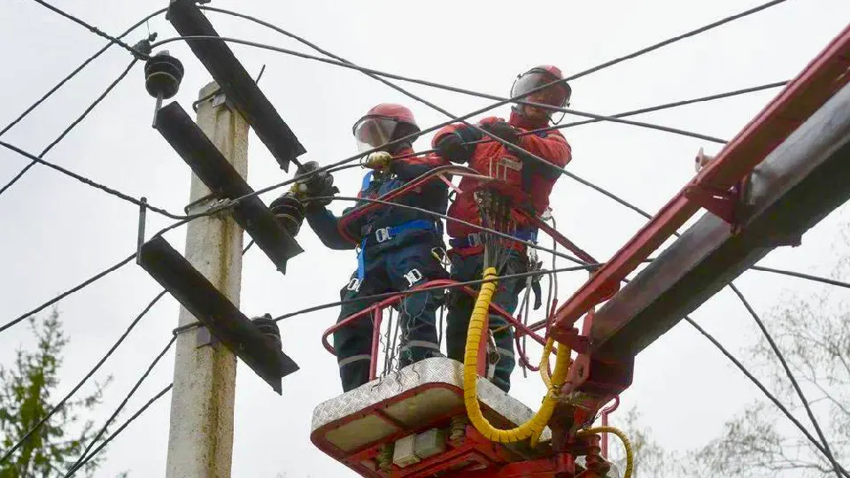 Фото: администрация Дмитровского муниципального округа