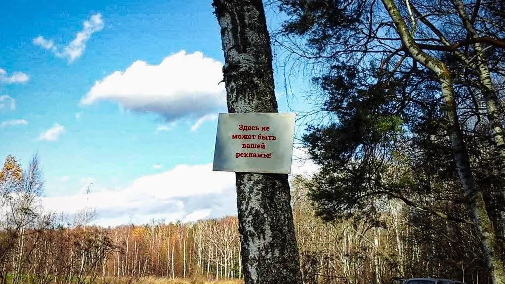 Фото: Комитет лесного хозяйства Московской области