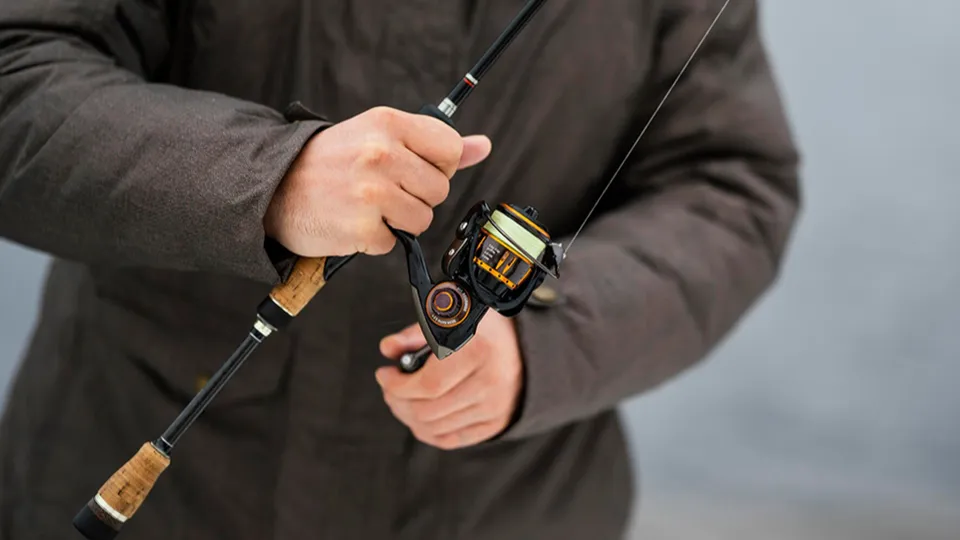 Фото: freepik.com