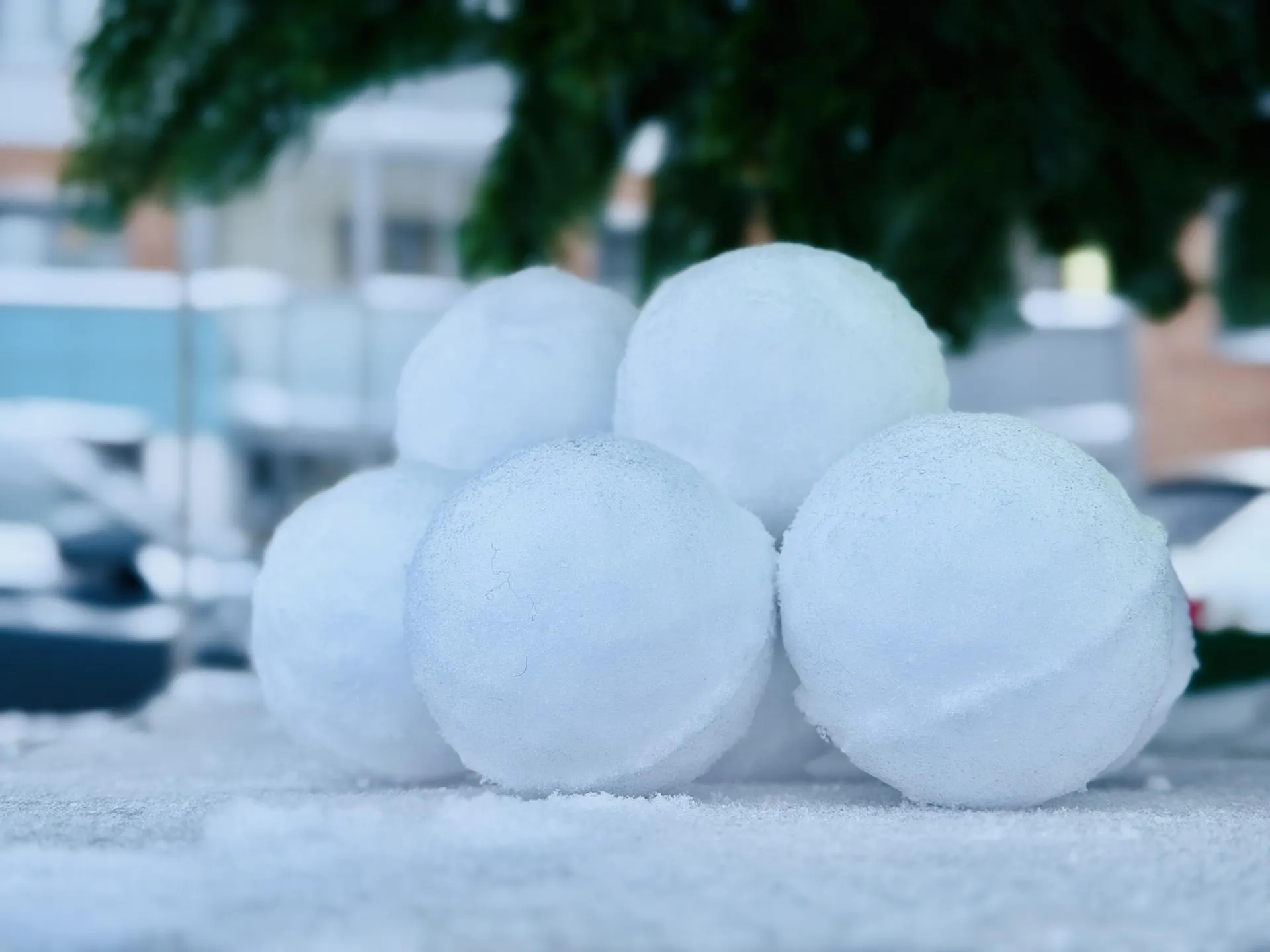 Фото: МедиаБанк Подмосковья/Ольга Стаферова