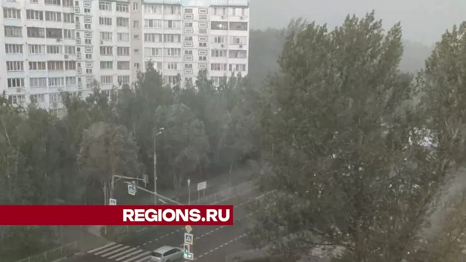 Фото: REGIONS/Юлия Алабина