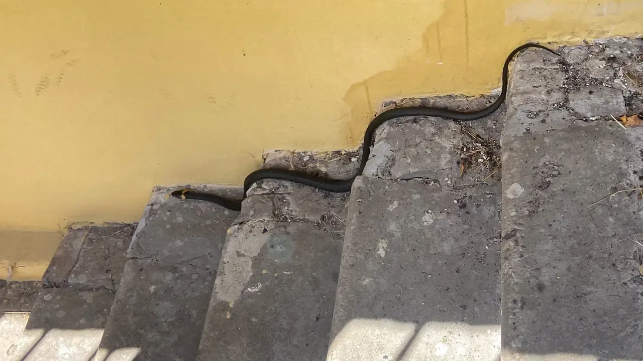 REGIONS/Владимир Ерастов