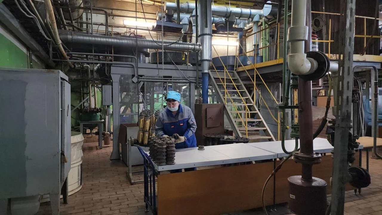 МедиаБанк Подмосковья/Валерия Исаева