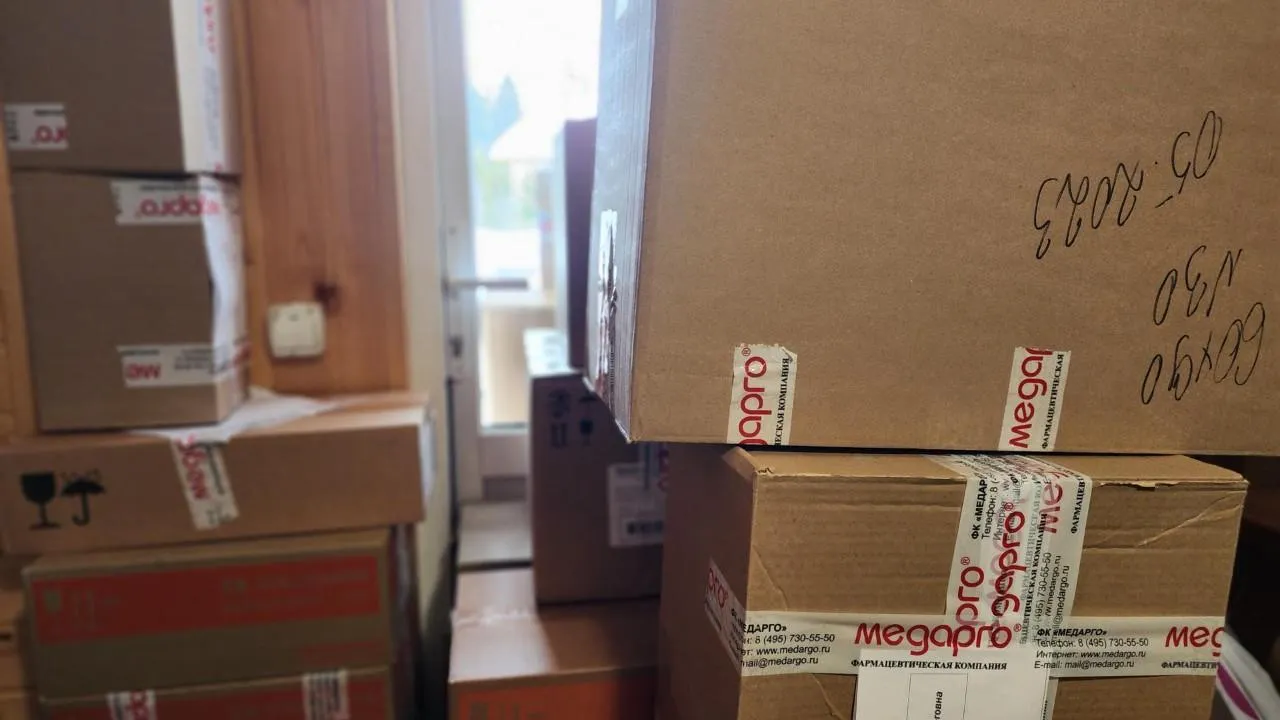 REGIONS/Елена Шумакова