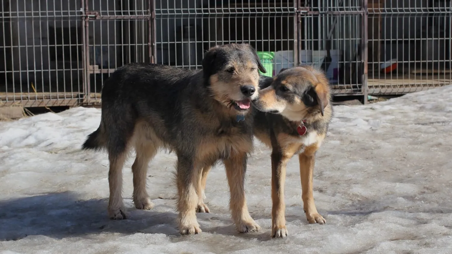 Фото: Игорь Ярулов