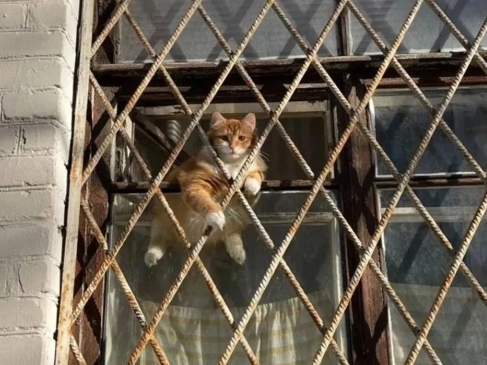 «Просто, но работает»: всех российских трудящихся могут «посадить за решетку» ради безопасности