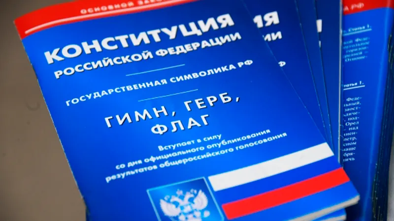 В Госдуме рассказали, как устраняются «пробелы» в законах