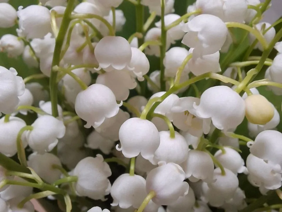 Фото: REGIONS/Юлия Габбасова