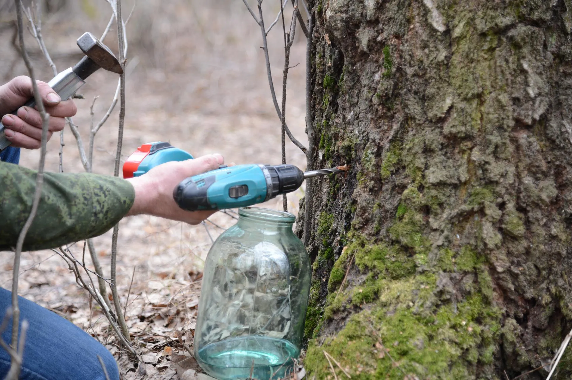 REGIONS/Нина Соколова