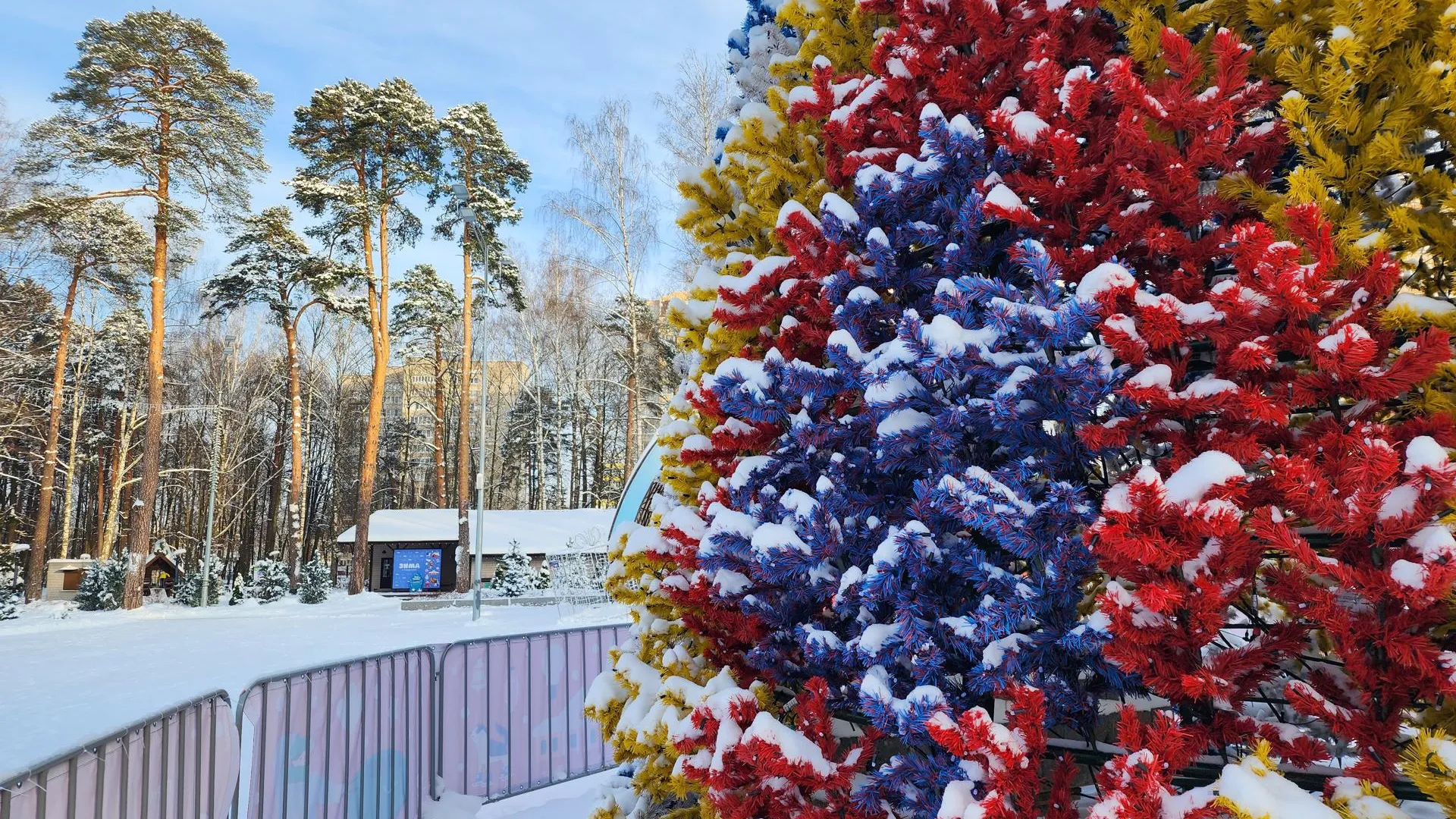 Ксения Пашуто
