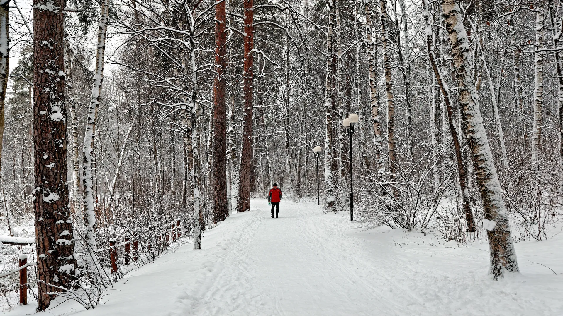 Спасительный циклон: почему ветер с Атлантики стал главной новостью для задымленного Кузбасса