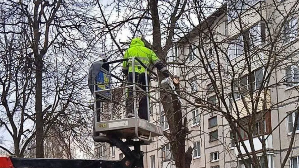 Фото: Министерство по содержанию территорий и государственному жилищному надзору