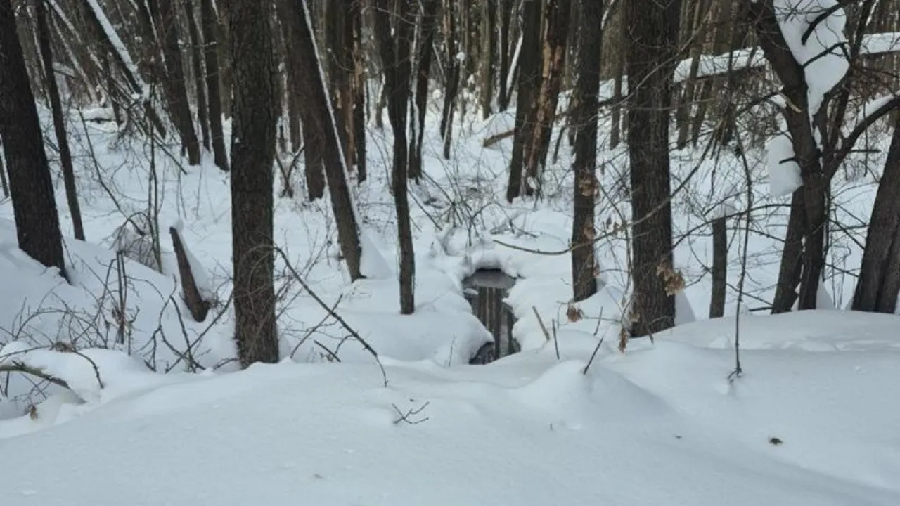 Минэкологии МО