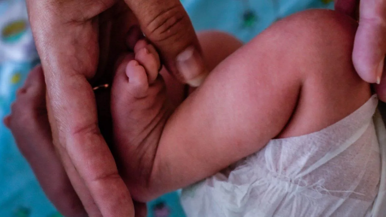 пресс-служба губернатора и правительства Московской области/Александра Степанова