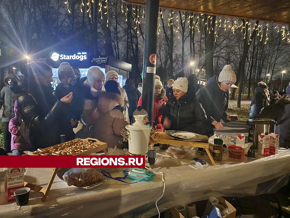 Фото: REGIONS/Александр Степушкин