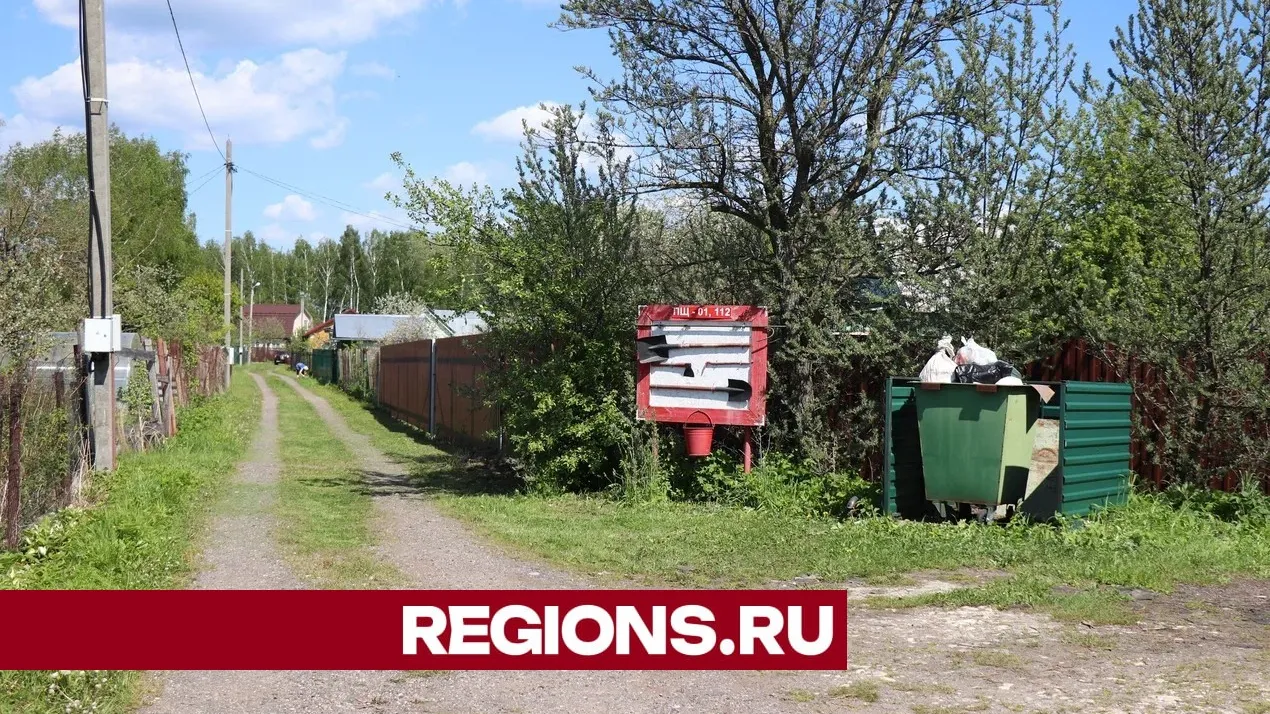 Фото: Василий Тремасов