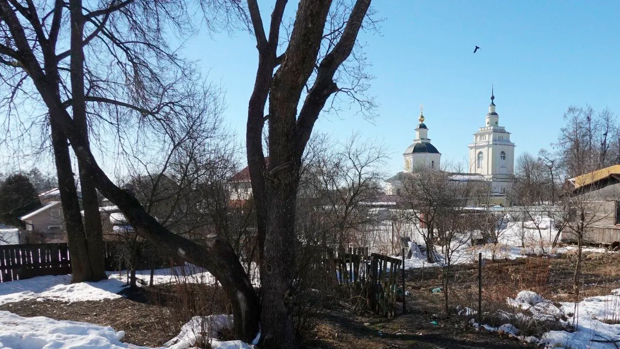 Фото: Александр Артеменков / Руза Заповедная