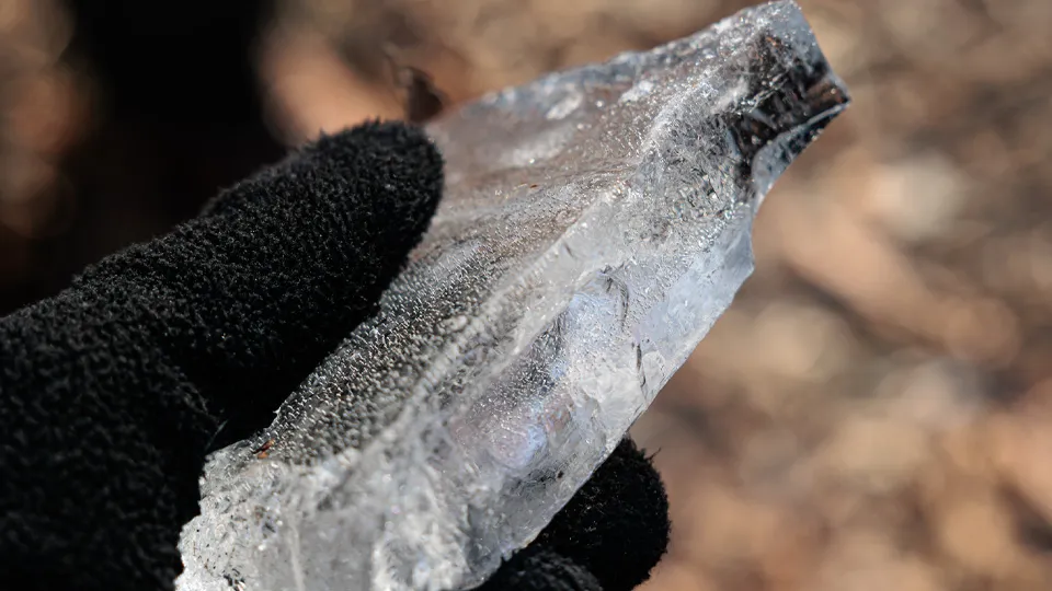 Фото: istockphoto.com/PhotoMet