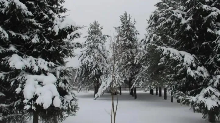 Комитет по конкурентной политике Московской области