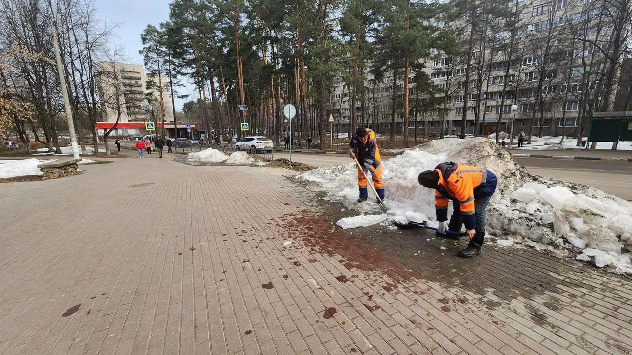 REGIONS/Анна Мороз