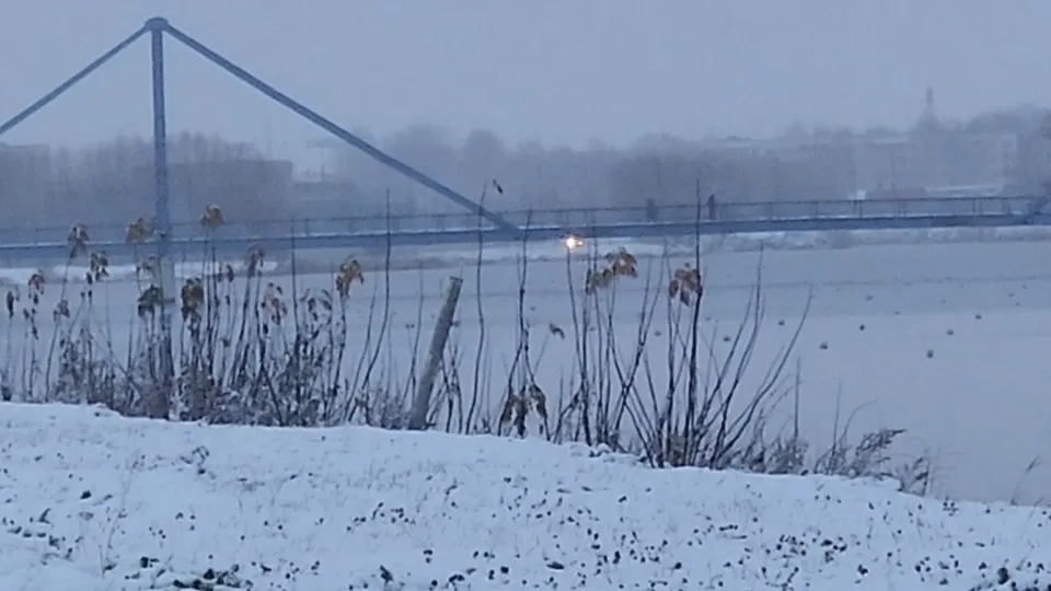 Фото: Ольга Антонова