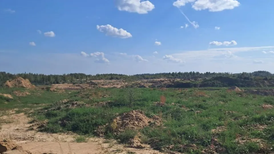 Фото: Комитет лесного хозяйства Московской области