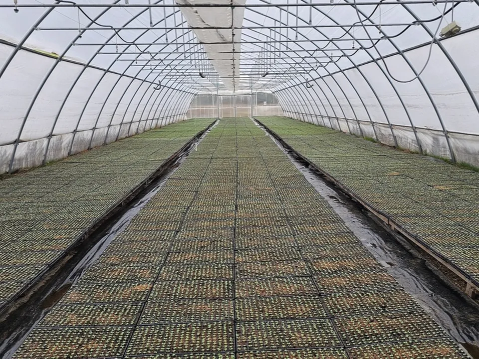 Фото: АО «ОСП агро»