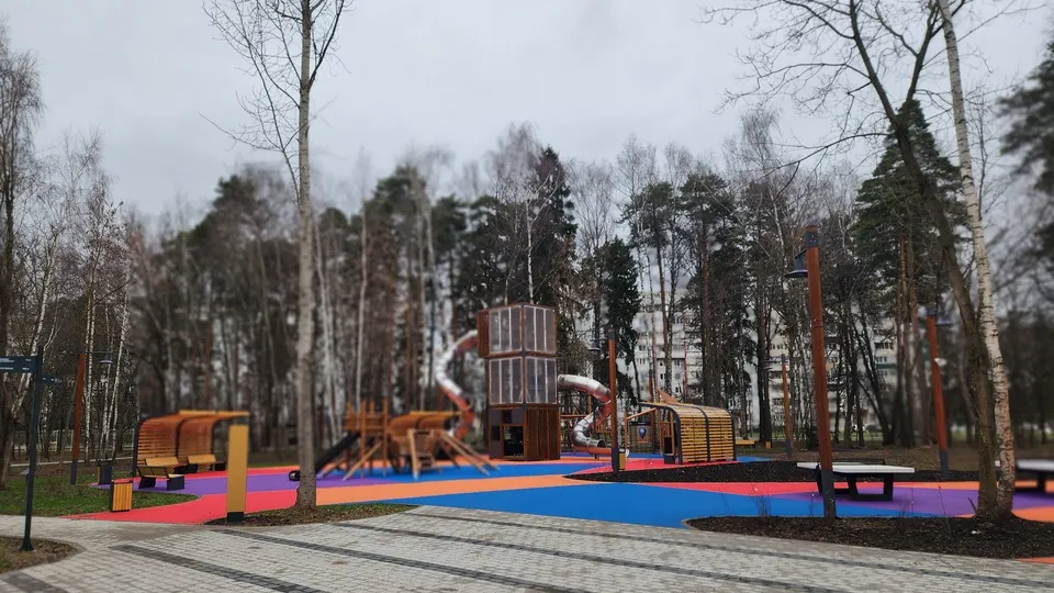 Фото: МедиаБанк Подмосковья/Роман Савельев