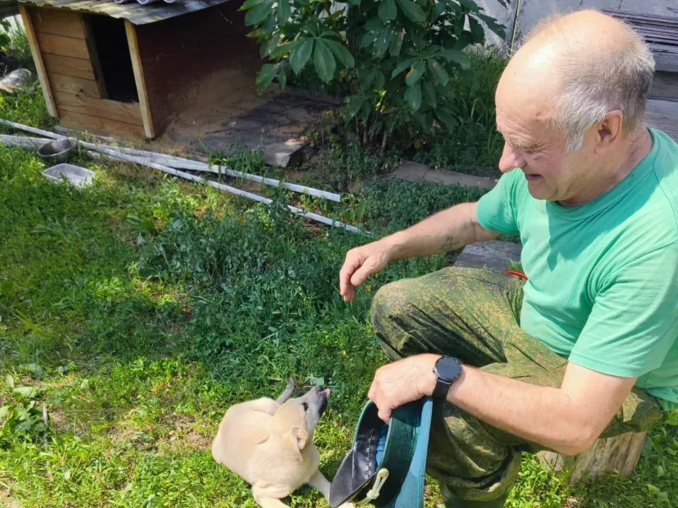 Фото: Звенигородское лесничество