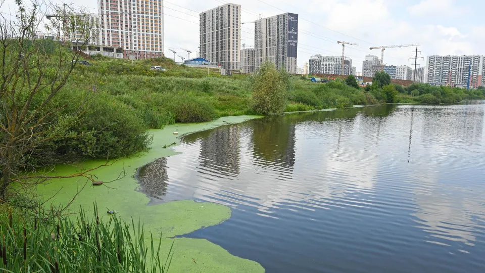 Фото: пресс-служба администрации Ленинского г.о.