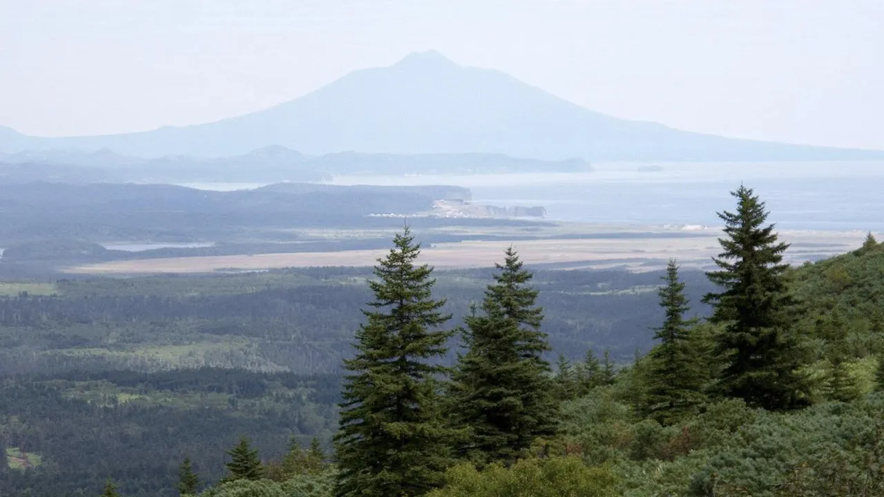 сommons.wikimedia/Ляховец Сергей