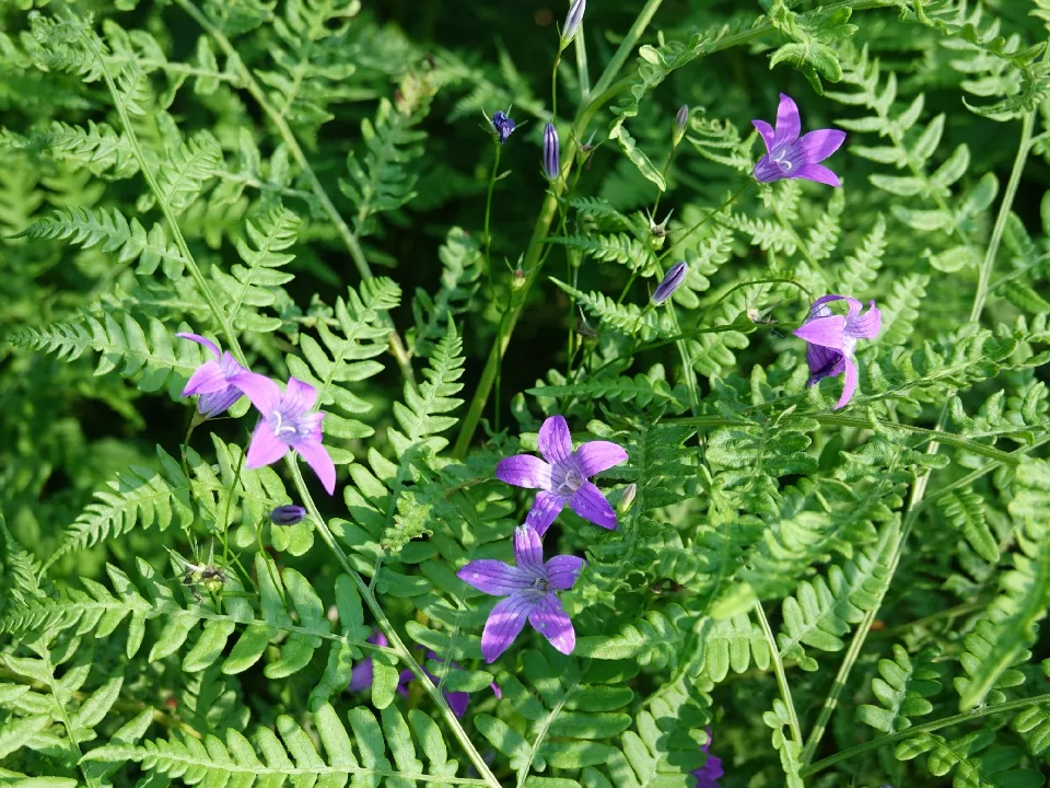 Фото: Евгения Шевнина