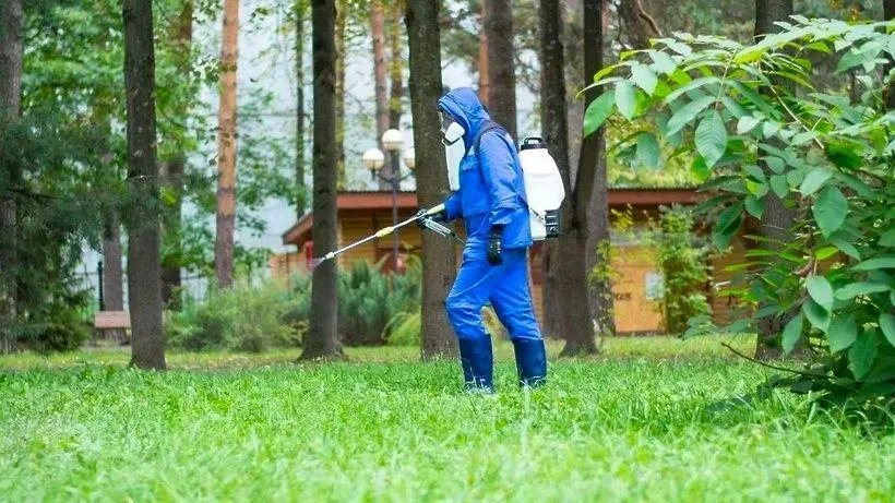 Фото: пресс-служба Министерства благоустройства МО