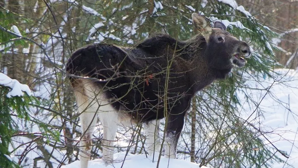 Фото: Ольга Калинина
