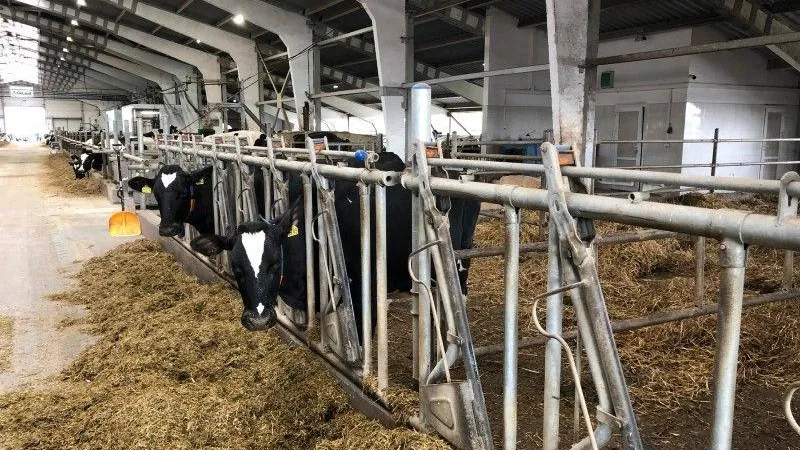 Министерство сельского хозяйства и продовольствия МО