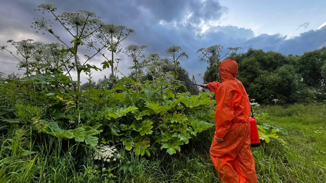 МедиаБанк Подмосковья/Елена Шумакова