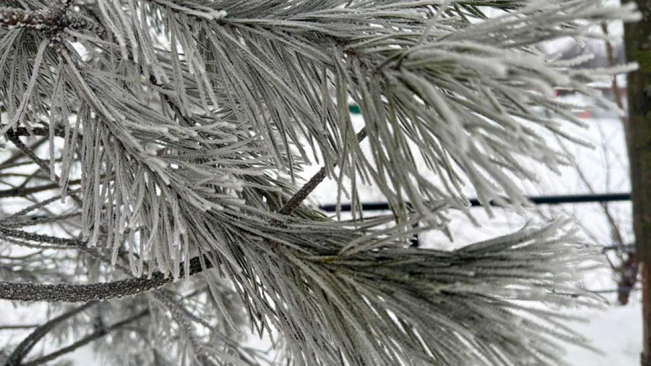 REGIONS/Анастасия Малышенко