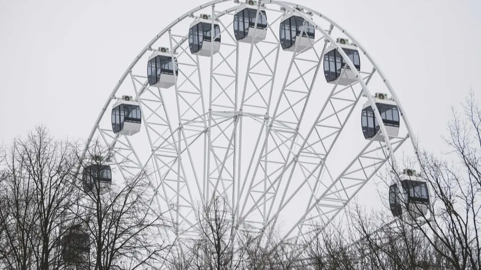 Фото: пресс-служба администрации г.о. Химки