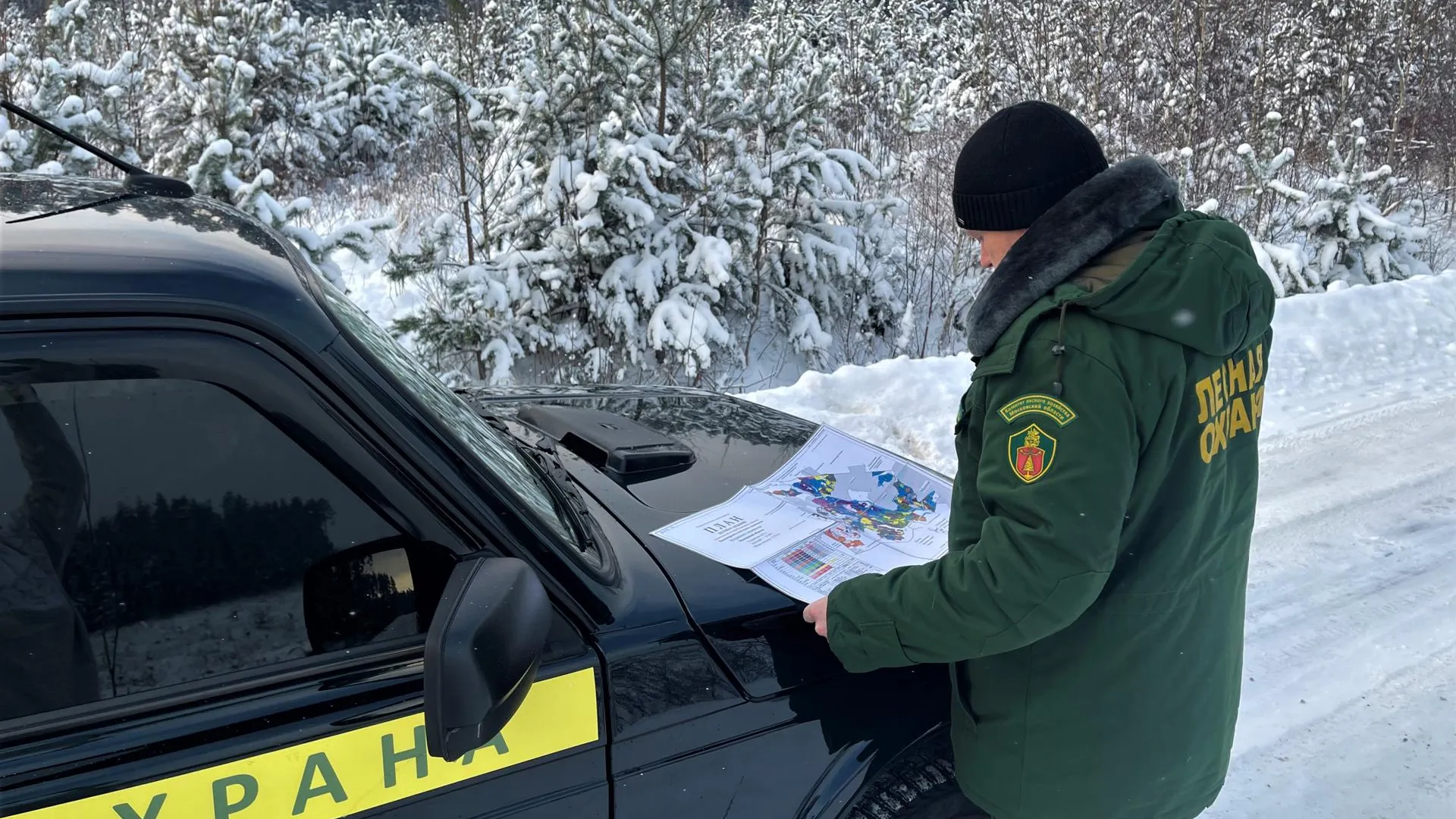 Комитет лесного хозяйства МО