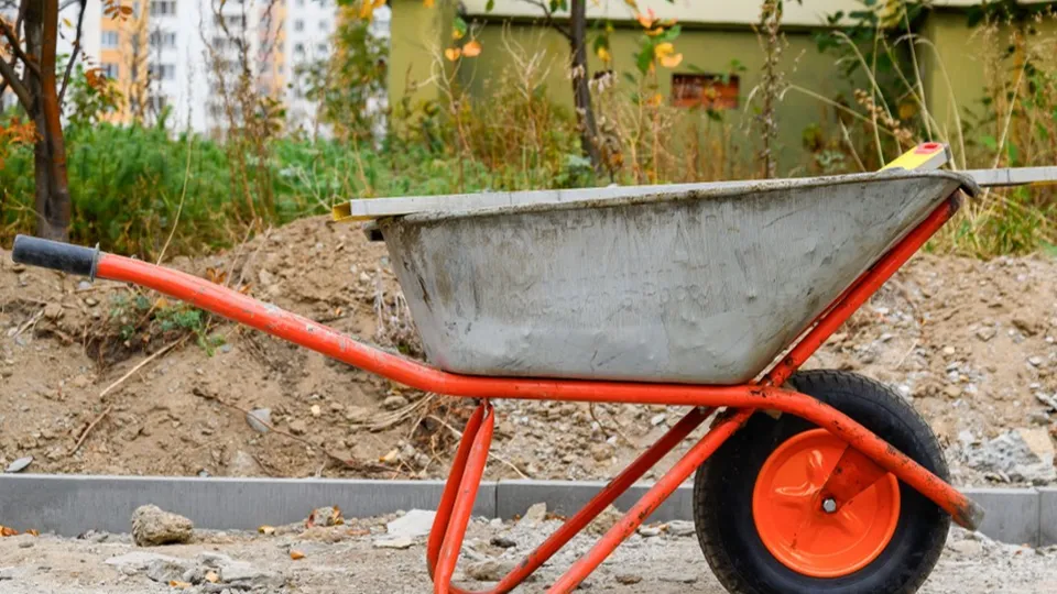 Фото: медиасток.рф