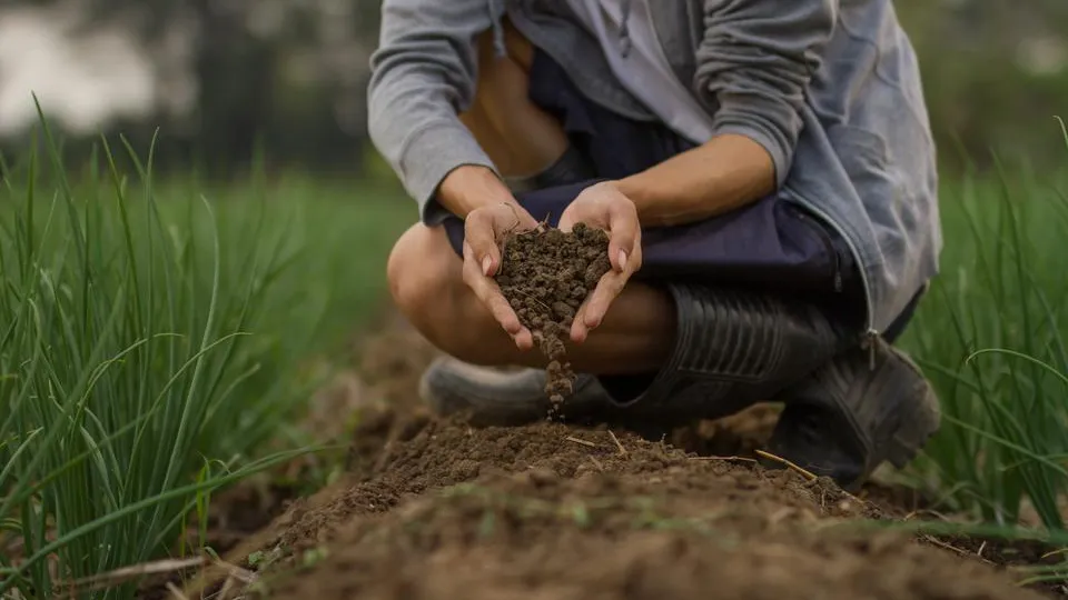 Фото: istockphoto.com