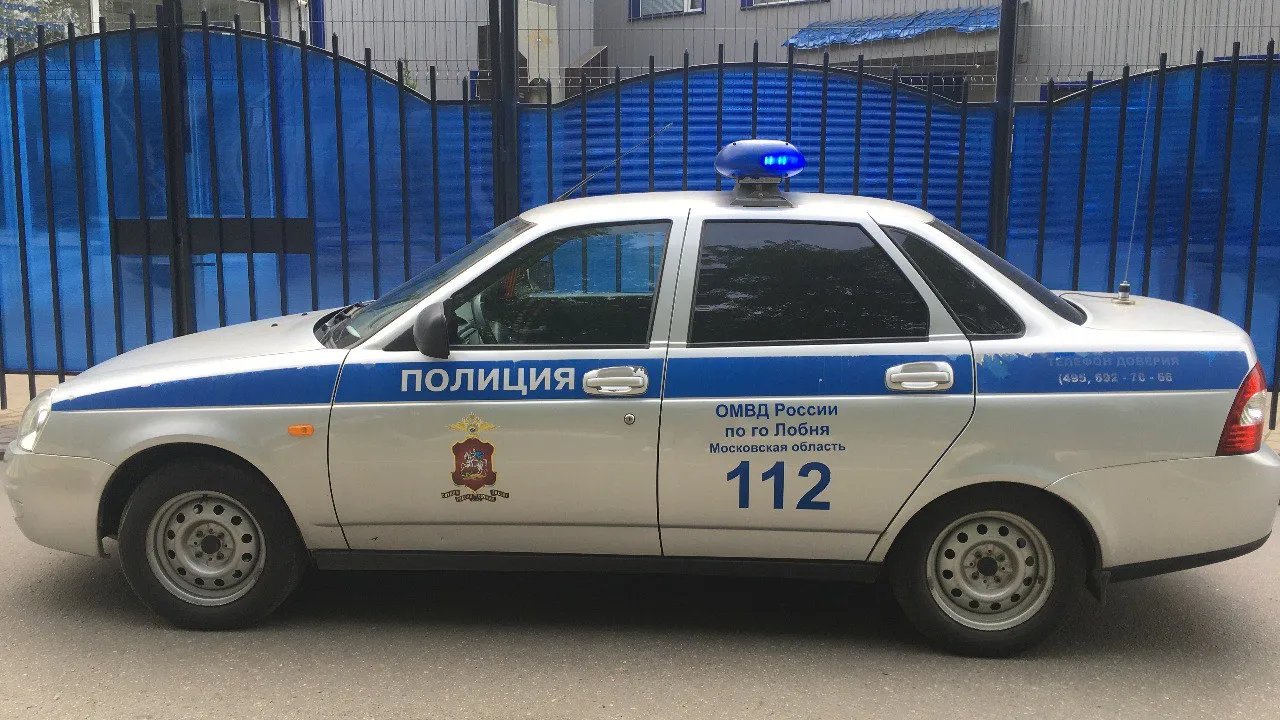 Фото: ОМВД России по г.о. Лобня