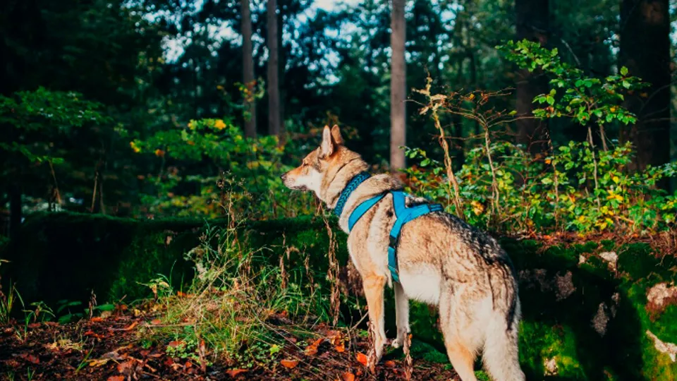 Фото: freepik.com