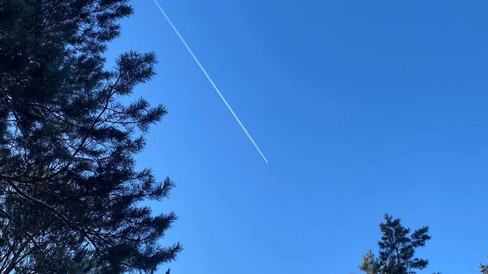 Фото: REGIONS/Мария Толстикова