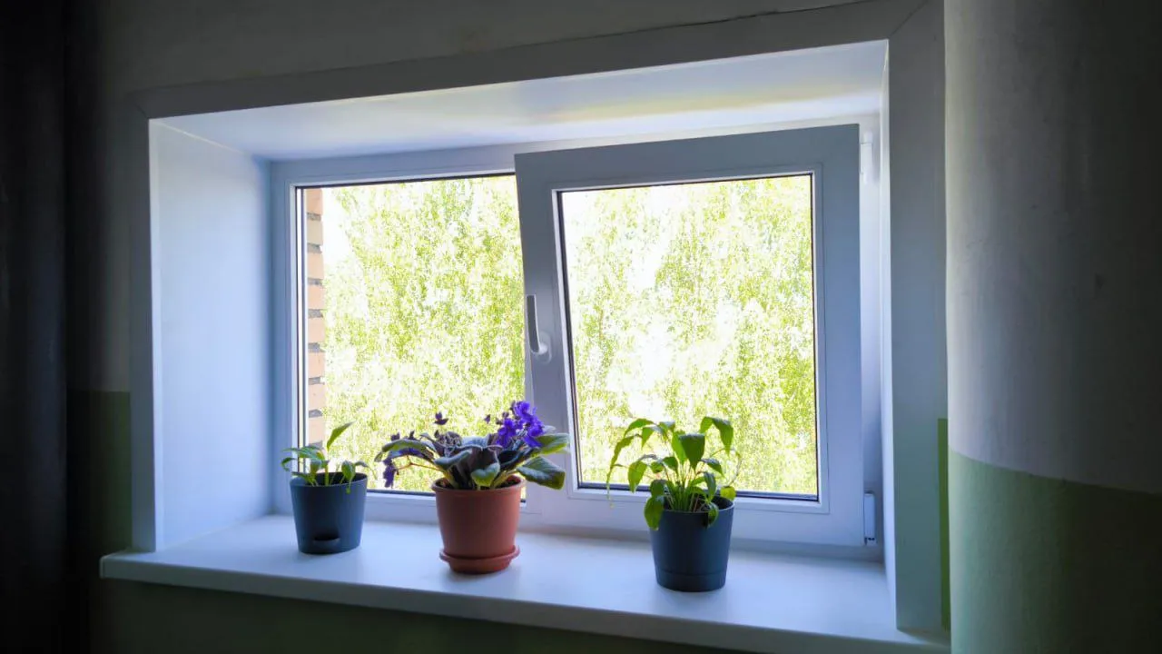 Фото: t.me/alexander_gorbylev_ruza