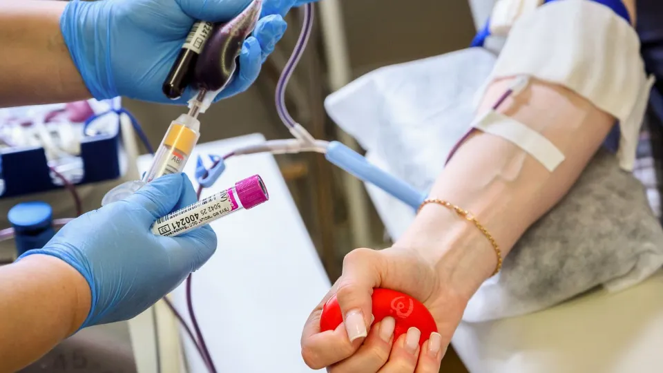 Фото: медиасток.рф