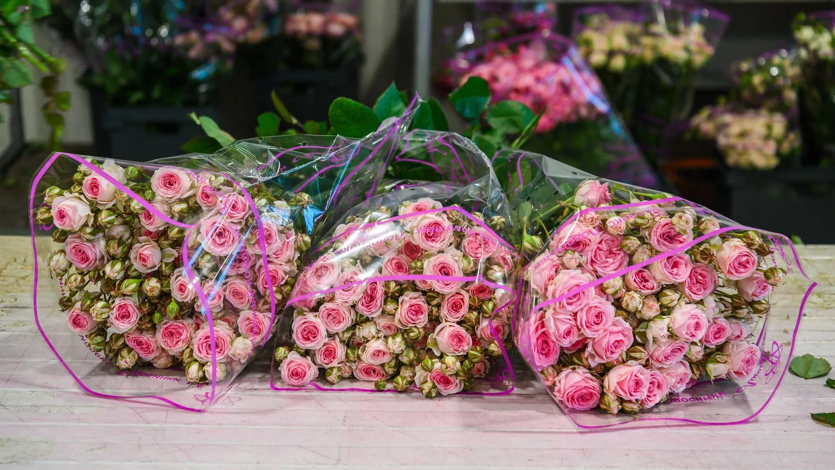 медиасток.рф